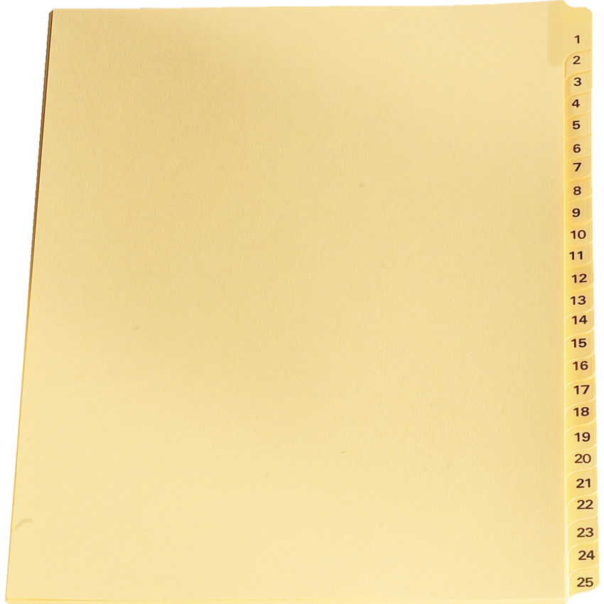 Numerical Legal Exhibit Dividers #24, 25/pkg