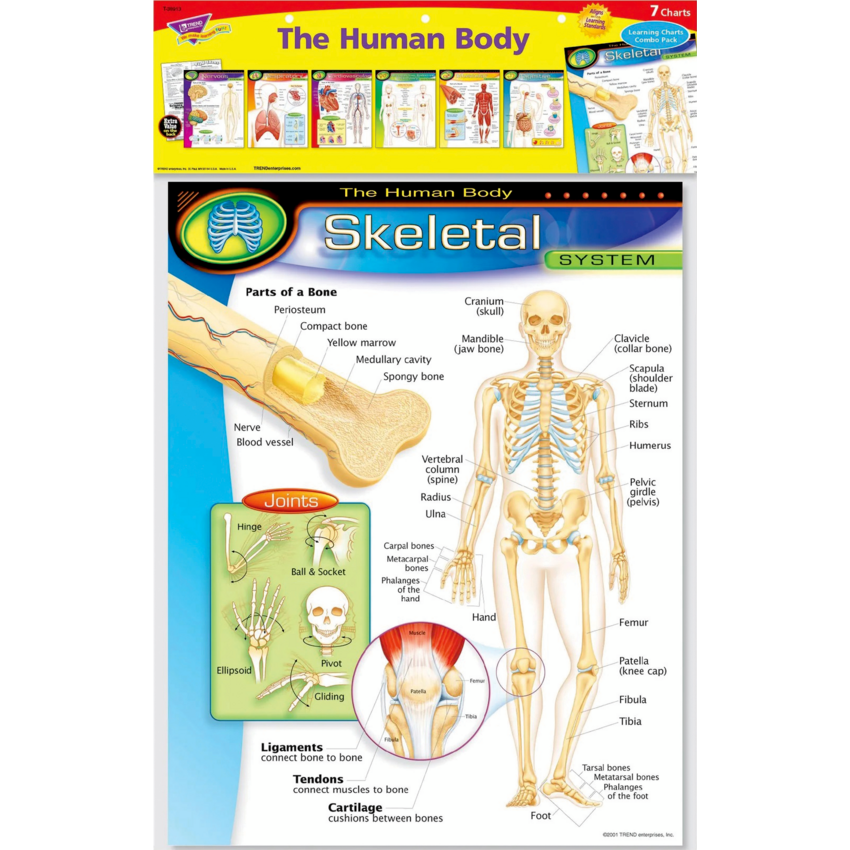Product Image03