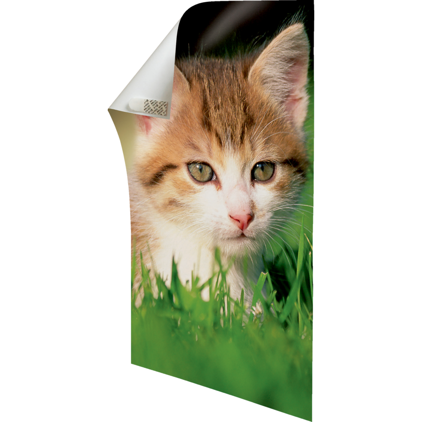 Product Image06