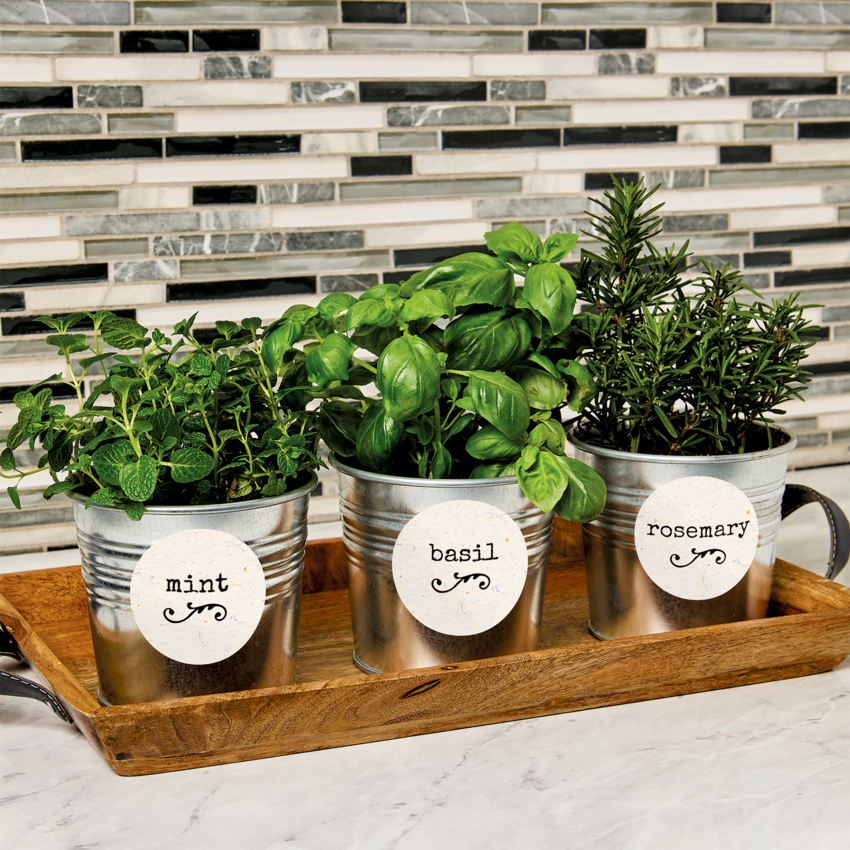 Product Image05