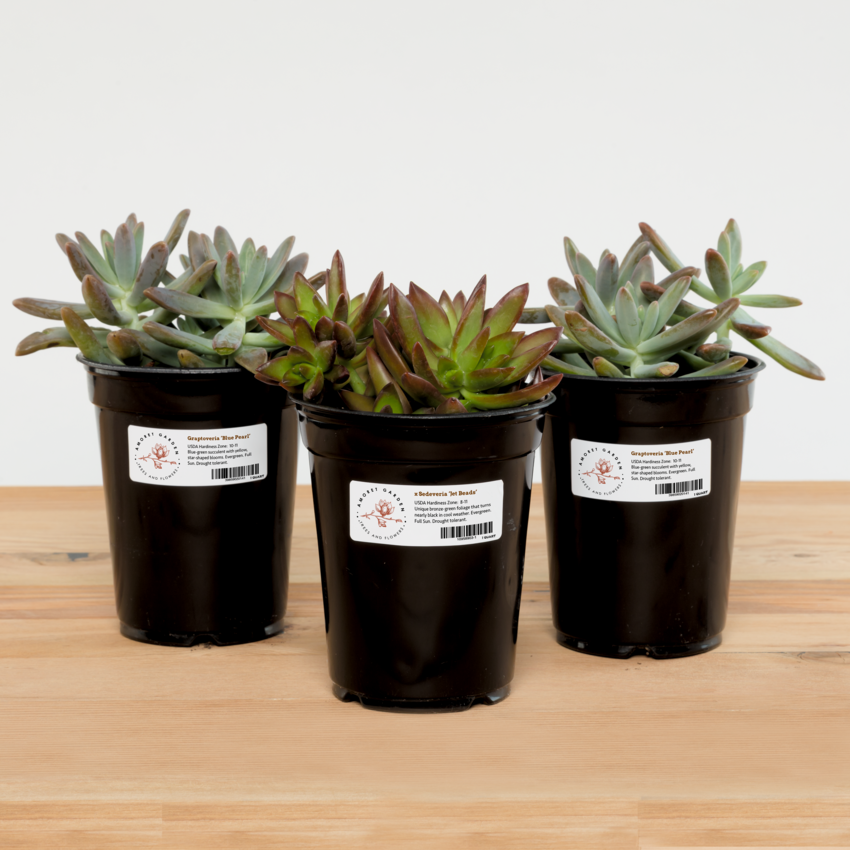 Product Image02