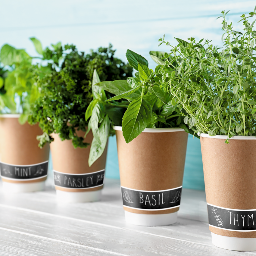 Product Image07