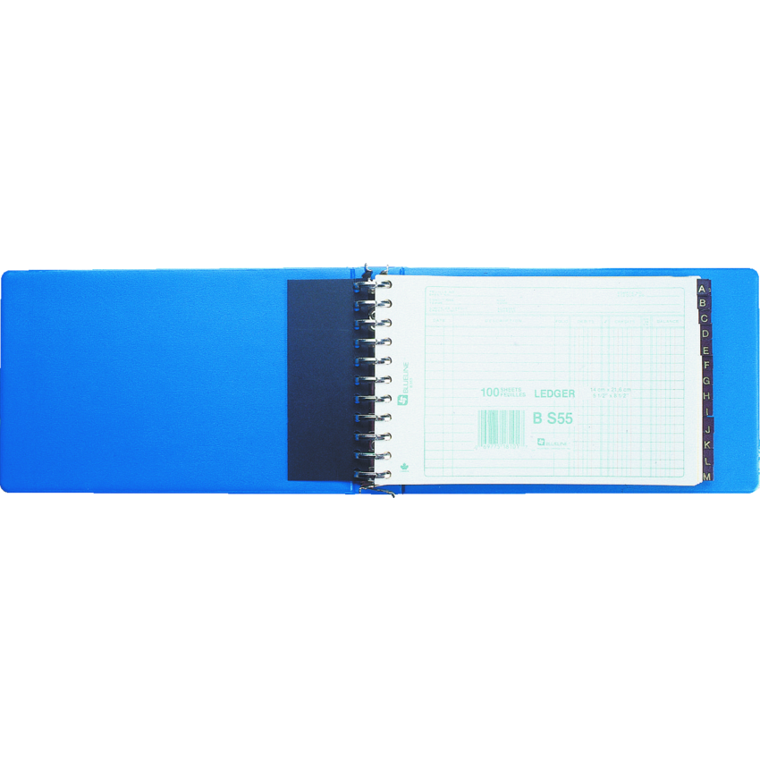 Blueline® Ledger Binder Sheets 5-1/2x8-1/2" 100/pkg
