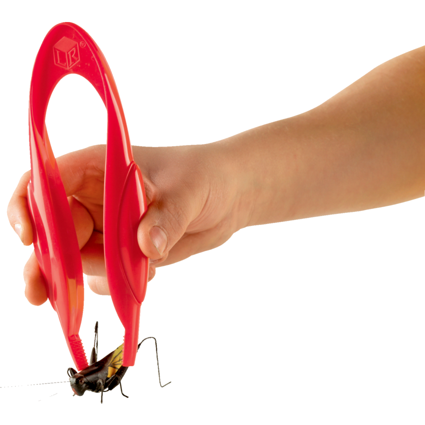 Product Image02