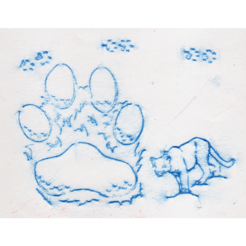Product Image02