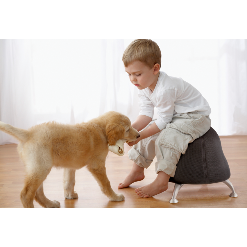 Product Image02