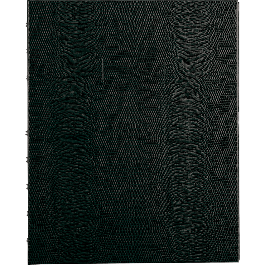 Blueline® NotePro™ Daily Organizer 9-1/4" x 7-1/4" Black
